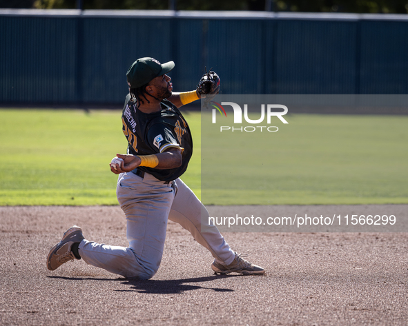 The Yolo High Wheelers (14) beat the Oakland Ballers (4) in game 1 (round 1) of the Pioneer Baseball League's playoffs in Davis, Calif., on...