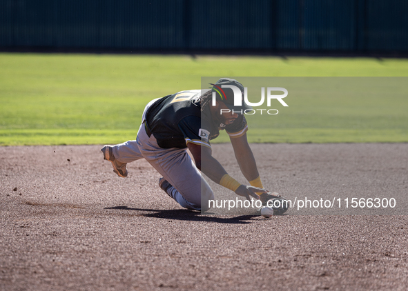 The Yolo High Wheelers (14) beat the Oakland Ballers (4) in game 1 (round 1) of the Pioneer Baseball League's playoffs in Davis, Calif., on...