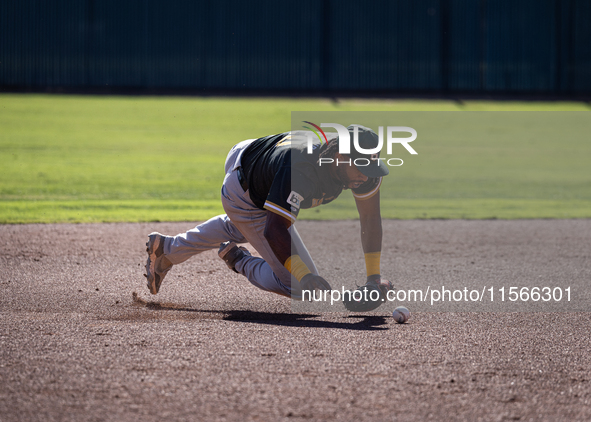 The Yolo High Wheelers (14) beat the Oakland Ballers (4) in game 1 (round 1) of the Pioneer Baseball League's playoffs in Davis, Calif., on...