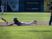 The Yolo High Wheelers (14) beat the Oakland Ballers (4) in game 1 (round 1) of the Pioneer Baseball League's playoffs in Davis, Calif., on...