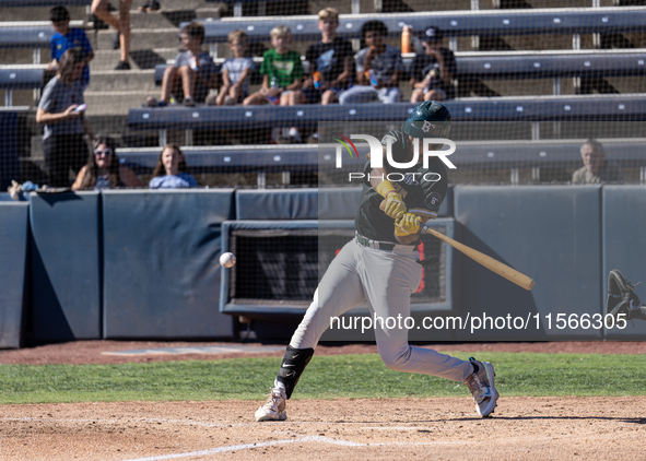 The Yolo High Wheelers (14) beat the Oakland Ballers (4) in game 1 (round 1) of the Pioneer Baseball League's playoffs in Davis, Calif., on...