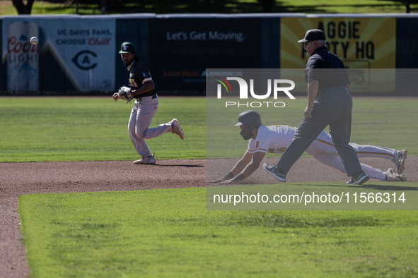 The Yolo High Wheelers (14) beat the Oakland Ballers (4) in game 1 (round 1) of the Pioneer Baseball League's playoffs in Davis, Calif., on...