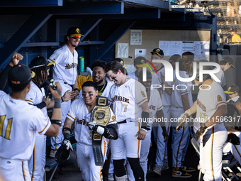 The Yolo High Wheelers (14) beat the Oakland Ballers (4) in game 1 (round 1) of the Pioneer Baseball League's playoffs in Davis, Calif., on...