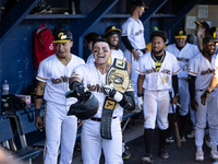 The Yolo High Wheelers (14) beat the Oakland Ballers (4) in game 1 (round 1) of the Pioneer Baseball League's playoffs in Davis, Calif., on...