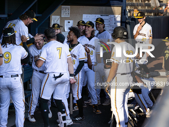 The Yolo High Wheelers (14) beat the Oakland Ballers (4) in game 1 (round 1) of the Pioneer Baseball League's playoffs in Davis, Calif., on...