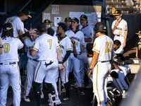 The Yolo High Wheelers (14) beat the Oakland Ballers (4) in game 1 (round 1) of the Pioneer Baseball League's playoffs in Davis, Calif., on...