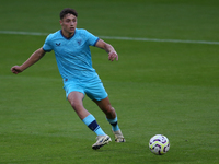 Athletic Club Bilbao's Iker Monreal during the Premier League International Cup Group B match between Sunderland and Athletic Club De Bilbao...