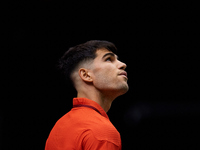 Carlos Alcaraz of Spain looks on during the game against Tomas Machac of Czechia during the 2024 Davis Cup Group B Stage match between Czech...