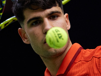 Carlos Alcaraz of Spain looks at the ball following the game against Tomas Machac of Czechia during the 2024 Davis Cup Group B Stage match b...