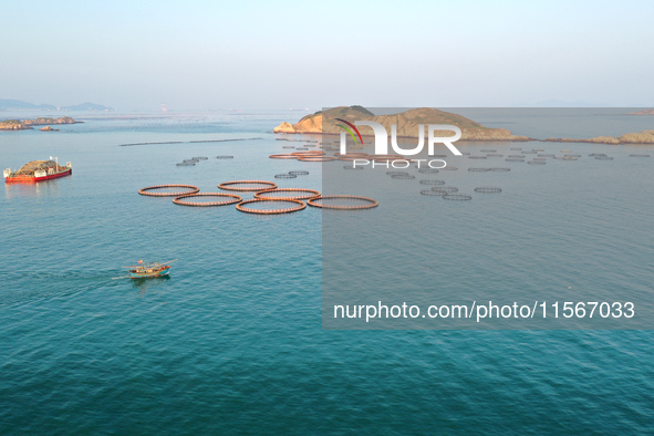 Workers work in a breeding area at a marine ranch in Dinghai Bay, Lianjiang County in Fuzhou, China, on September 10, 2024. 