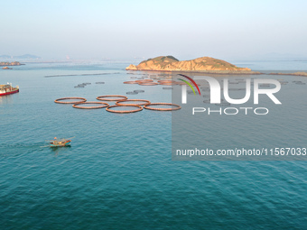 Workers work in a breeding area at a marine ranch in Dinghai Bay, Lianjiang County in Fuzhou, China, on September 10, 2024. (