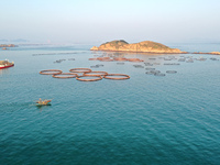 Workers work in a breeding area at a marine ranch in Dinghai Bay, Lianjiang County in Fuzhou, China, on September 10, 2024. (