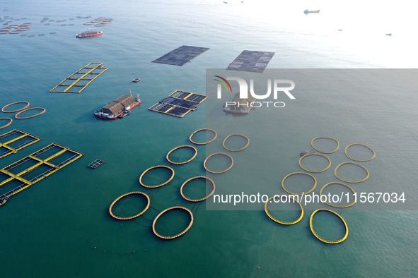 Workers work in a breeding area at a marine ranch in Dinghai Bay, Lianjiang County in Fuzhou, China, on September 10, 2024. 