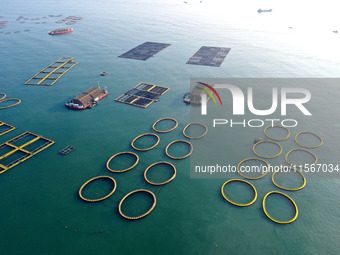 Workers work in a breeding area at a marine ranch in Dinghai Bay, Lianjiang County in Fuzhou, China, on September 10, 2024. (