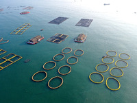 Workers work in a breeding area at a marine ranch in Dinghai Bay, Lianjiang County in Fuzhou, China, on September 10, 2024. (