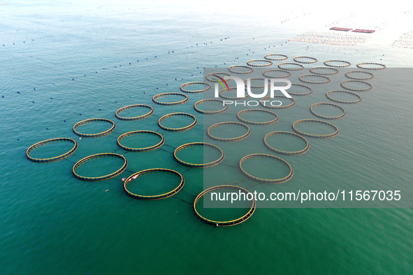 Workers work in a breeding area at a marine ranch in Dinghai Bay, Lianjiang County in Fuzhou, China, on September 10, 2024. 