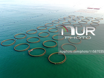 Workers work in a breeding area at a marine ranch in Dinghai Bay, Lianjiang County in Fuzhou, China, on September 10, 2024. (