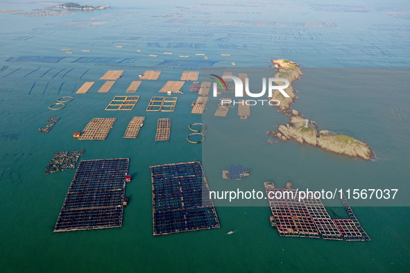 Workers work in a breeding area at a marine ranch in Dinghai Bay, Lianjiang County in Fuzhou, China, on September 10, 2024. 