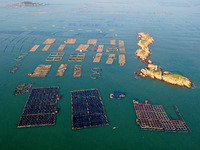 Workers work in a breeding area at a marine ranch in Dinghai Bay, Lianjiang County in Fuzhou, China, on September 10, 2024. (