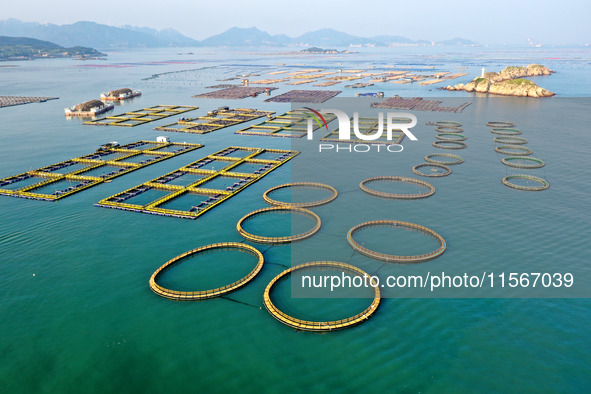 Workers work in a breeding area at a marine ranch in Dinghai Bay, Lianjiang County in Fuzhou, China, on September 10, 2024. 