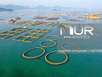 Workers work in a breeding area at a marine ranch in Dinghai Bay, Lianjiang County in Fuzhou, China, on September 10, 2024. (