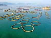 Workers work in a breeding area at a marine ranch in Dinghai Bay, Lianjiang County in Fuzhou, China, on September 10, 2024. (