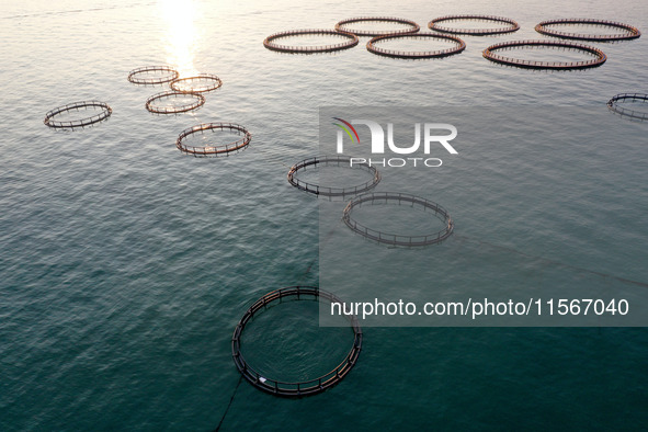 Workers work in a breeding area at a marine ranch in Dinghai Bay, Lianjiang County in Fuzhou, China, on September 10, 2024. 