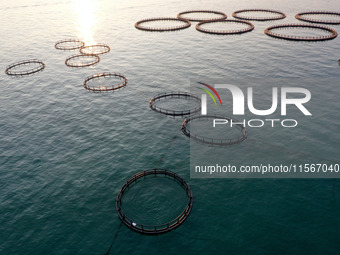 Workers work in a breeding area at a marine ranch in Dinghai Bay, Lianjiang County in Fuzhou, China, on September 10, 2024. (