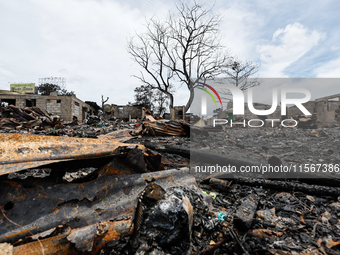 A burnt withered tree stands near the rubble of damaged houses following a huge fire that engulfs at least 800 houses in Bacoor, Cavite, the...