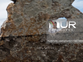 A woman searches for salvageable items among the rubble of damaged houses in Bacoor, Cavite, the Philippines, on September 12, 2024, followi...