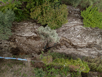 A massive mudslide from Mount Pendolo causes fear among residents of Gragnano in Naples on Wednesday evening. The landslide encroaches on th...