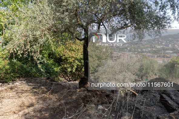 A massive mudslide from Mount Pendolo causes fear among residents of Gragnano in Naples on Wednesday evening. The landslide encroaches on th...