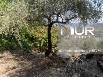 A massive mudslide from Mount Pendolo causes fear among residents of Gragnano in Naples on Wednesday evening. The landslide encroaches on th...