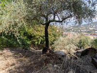 A massive mudslide from Mount Pendolo causes fear among residents of Gragnano in Naples on Wednesday evening. The landslide encroaches on th...