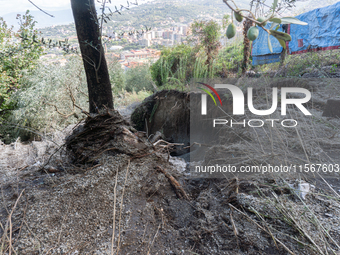 A massive mudslide from Mount Pendolo causes fear among residents of Gragnano in Naples on Wednesday evening. The landslide encroaches on th...