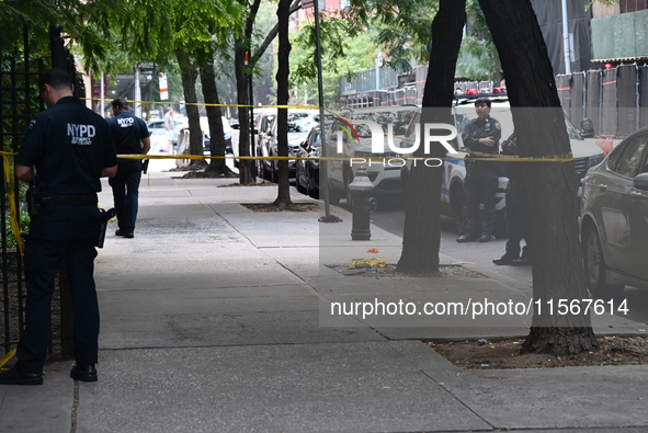 Police canvass the crime scene for evidence. A man is shot in the back multiple times in Manhattan, New York, United States, on September 12...