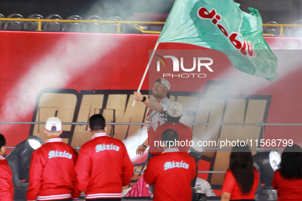 A Diablos Rojos del Mexico fan waves a flag to celebrate the Diablos Rojos' 17th championship of the Mexican Baseball League (LMB) during th...