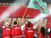 A Diablos Rojos del Mexico fan waves a flag to celebrate the Diablos Rojos' 17th championship of the Mexican Baseball League (LMB) during th...