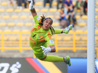 Paulina Aprile of Argentina stretches to try to save the ball during the 2024 FIFA U-20 Women's World Cup match between Germany and Argentin...