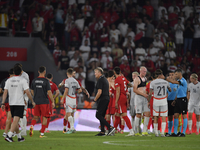 Iceland's coach Age Hareide  during the UEFA Nations League 2024/25 League B Group B4 match between Turkiye and Iceland at Gürsel Aksel Stad...