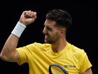 Thanasi Kokkinakis of Australia celebrates a point during the game against Jakub Mensik of Czechia during the 2024 Davis Cup Group B Stage m...