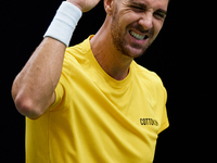 Thanasi Kokkinakis of Australia celebrates a point during the game against Jakub Mensik of Czechia during the 2024 Davis Cup Group B Stage m...