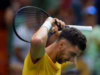 Thanasi Kokkinakis of Australia celebrates the victory following the game against Jakub Mensik of Czechia during the 2024 Davis Cup Group B...