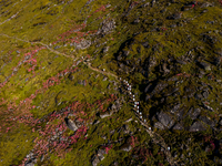 A drone captures an aerial view of the first Timbung Pokhari Trail Run competition in Taplejung, Nepal, on September 11, 2024. (