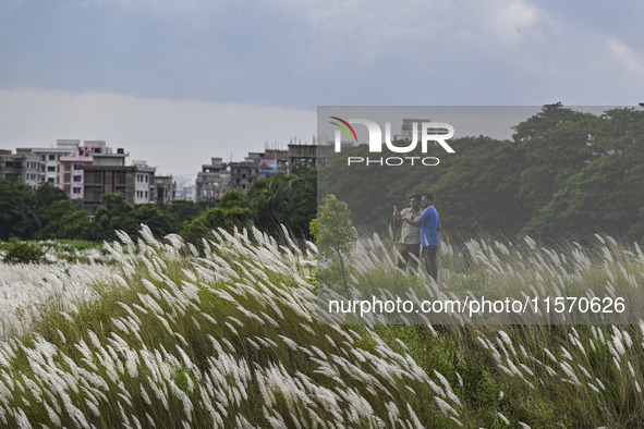 Two boys take a selfie with flowers in a Kans grass flower field in the afternoon in Dhaka, Bangladesh, on September 13, 2024. 