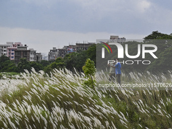 Two boys take a selfie with flowers in a Kans grass flower field in the afternoon in Dhaka, Bangladesh, on September 13, 2024. (