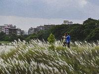 Two boys take a selfie with flowers in a Kans grass flower field in the afternoon in Dhaka, Bangladesh, on September 13, 2024. (