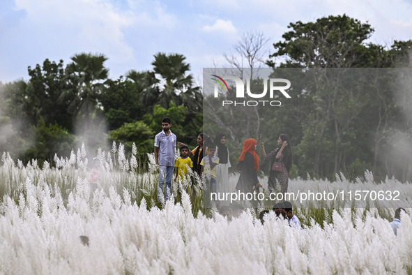 People visit the kans grass flower field in the afternoon in the Saraighat area in Dhaka, Bangladesh, on September 13, 2024. 