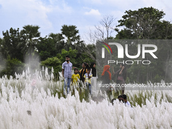 People visit the kans grass flower field in the afternoon in the Saraighat area in Dhaka, Bangladesh, on September 13, 2024. (