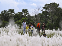 People visit the kans grass flower field in the afternoon in the Saraighat area in Dhaka, Bangladesh, on September 13, 2024. (